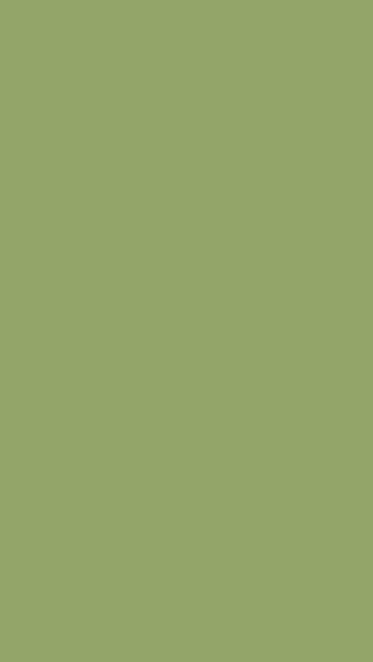 Sac - OLIVE